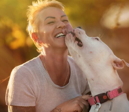 Perché il mio cane mi lecca? Mi vuole “baciare”? cane mi lecca