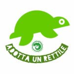 adotta_rettile_co