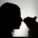 morte cane gatto