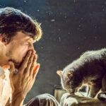 allergia al gatto