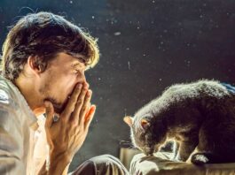 allergia al gatto