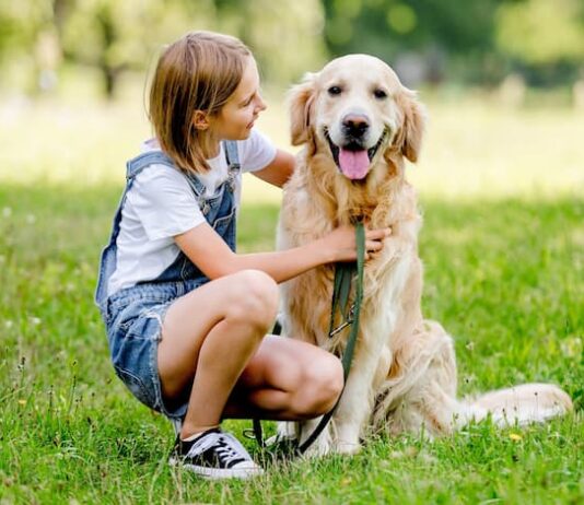 Il Patentino junior per proprietari di cani, nuovo strumento educativo per i più piccoli patentino cani junior