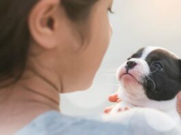 parlare con cane