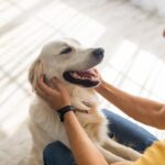sverminazione-cane-igiene