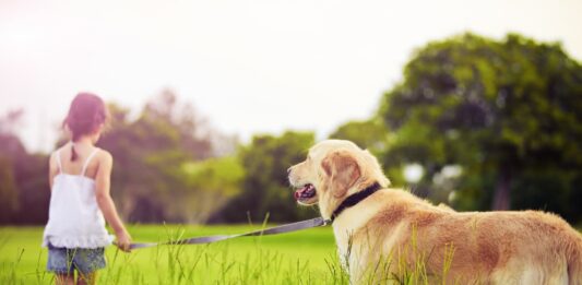 cane-al-collare-portato-da-bambina