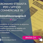 Banner-ricerca-stagista_mobile