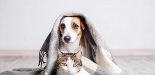 rapporto-Eurispes-animali-in-casa