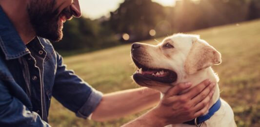 uomo-che-fa-coccole-al-cane
