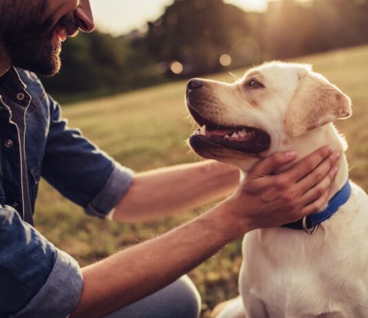 uomo-che-fa-coccole-al-cane