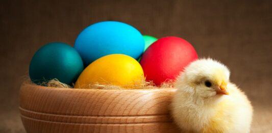 La tradizione dell’uovo di Pasqua: dalla gallina al cioccolato pulcino-con uovo-di-pasqua