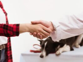 veterinario-comportamentalista-e-educatore-cinofilo