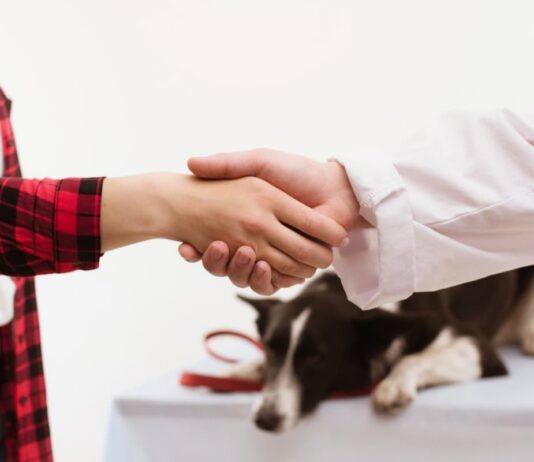 veterinario-comportamentalista-e-educatore-cinofilo