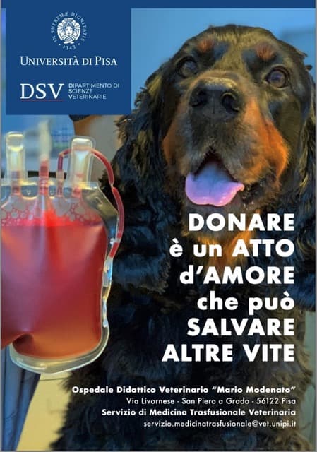 cane-donare-sangue cane-donare-sangue