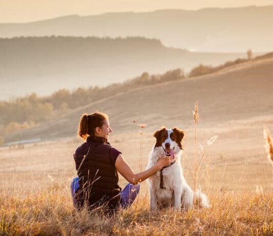 Malattia di Lyme o borreliosi: come si trasmette e quali sono i sintomi malattia-lyme-uomo-cane