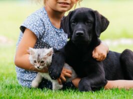 prevenzione_zoonosi_cane_gatto