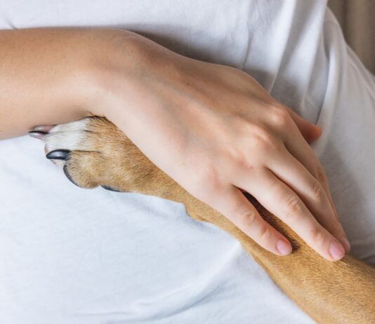 progetti_pet_therapy