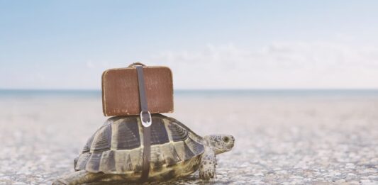 vacanze animale esotico