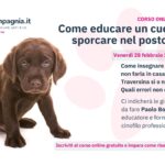 Post Webinar Bosatra