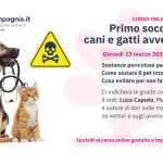 Primo soccorso a cani e gatti avvelenati – webinar di Luca Caputo