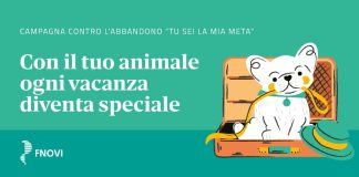 Campagna contro abbandono tu sei la mia meta