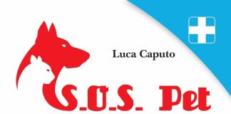 come trattare un animale avvelenato seconda edizione