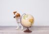 viaggiare con animale domestico per il mondo
