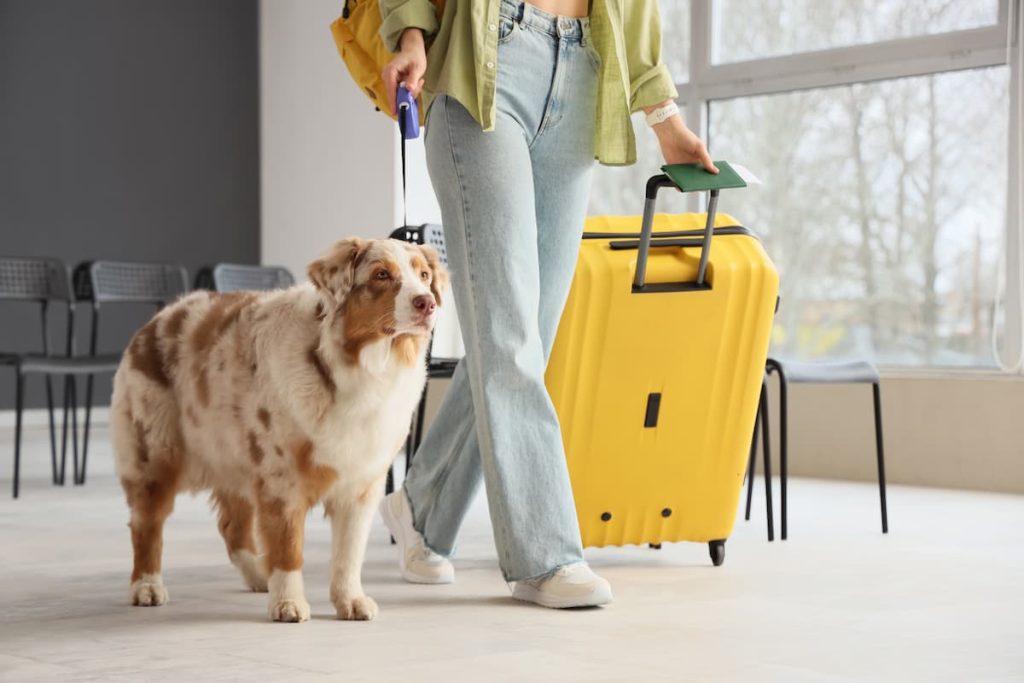 viaggiare per il mondo con animale