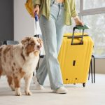 viaggiare per il mondo con animale