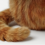 Pet Collection by Elanco 1