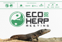 locandina Eco Herp Meeting 2026