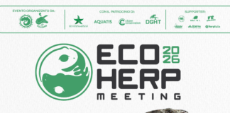 locandina Eco Herp Meeting 2026