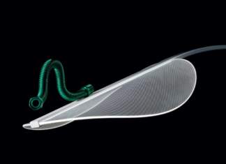 Diphy, fiore luminoso di Linea Light Group