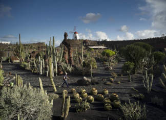 Al Jardín de Cactus di Lanzarote il Premio Carlo Scarpa Premio Carlo Scarpa