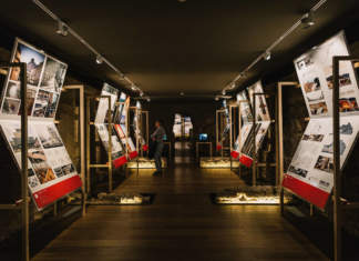 Premio Dedalo Minosse: i vincitori dell’edizione 2016/2017