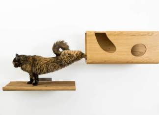 Pet – friendly design: estetica e benessere degli animali domestici