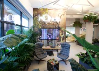 A Roma il primo “Office Jungle” in Italia Xoffice
