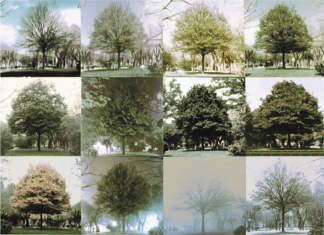 Cesare Leonardi – L’Architettura della Vita