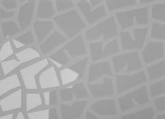 Fiora It’s Texture Time