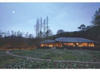 Le zone rurali della Cina contemporanea alla Biennale di Venezia