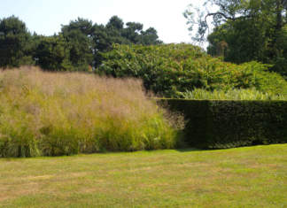 Il progetto del giardino, tra memoria e sguardo al futuro