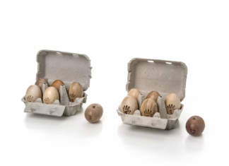 IL LEGNO dalla Natura alle Cose