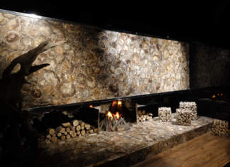 Un camino in Brown Petrified Wood by Antolini