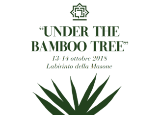 Under the Bamboo Tree