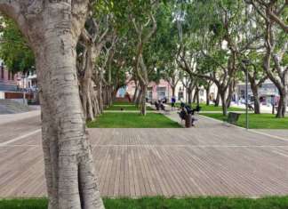 Déco per la piazza Garibaldi di Cagliari