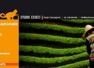 Premio Internazionale Carlo Scarpa per il Giardino 2019