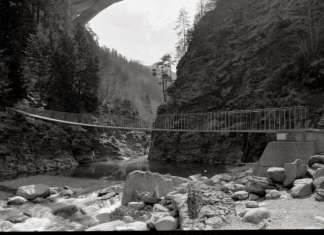 Landscape and Structures