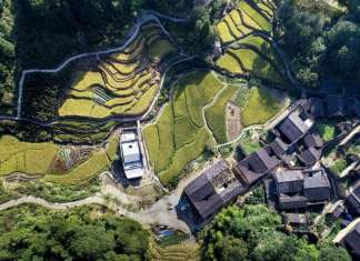 Xiadi Paddy Field Bookstore dei TAO Architecture