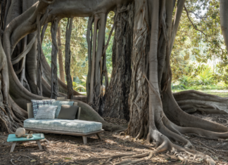 La nuova campagna Ethimo nell’Orto Botanico di Palermo