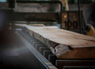 Toscanini: 100 anni di storia del legno, tra natura e uomo