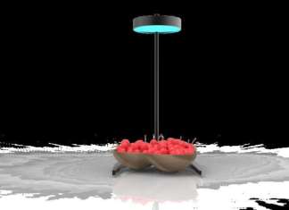 Dal master Marangoni al progetto. Marco Ripani sviluppa Pure Light